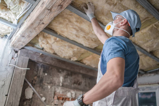 Best Residential Insulation in Narrows, VA