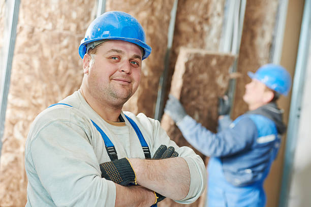 Best Geographic-Specific Insulation Services in Narrows, VA