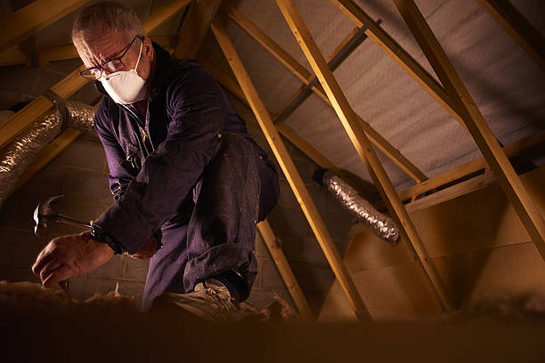 Best Commercial Insulation in Narrows, VA