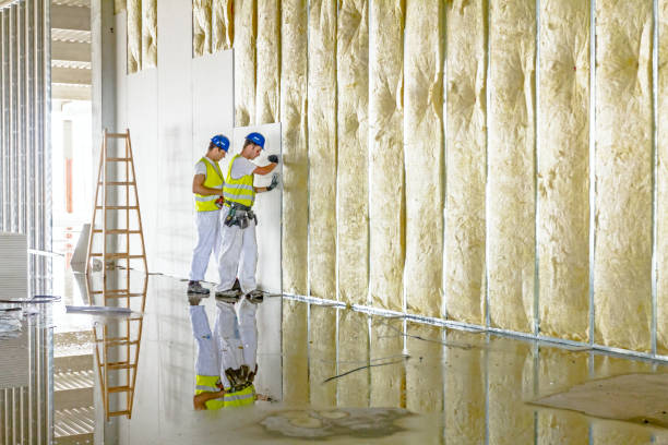 Best Fiberglass Insulation in Narrows, VA